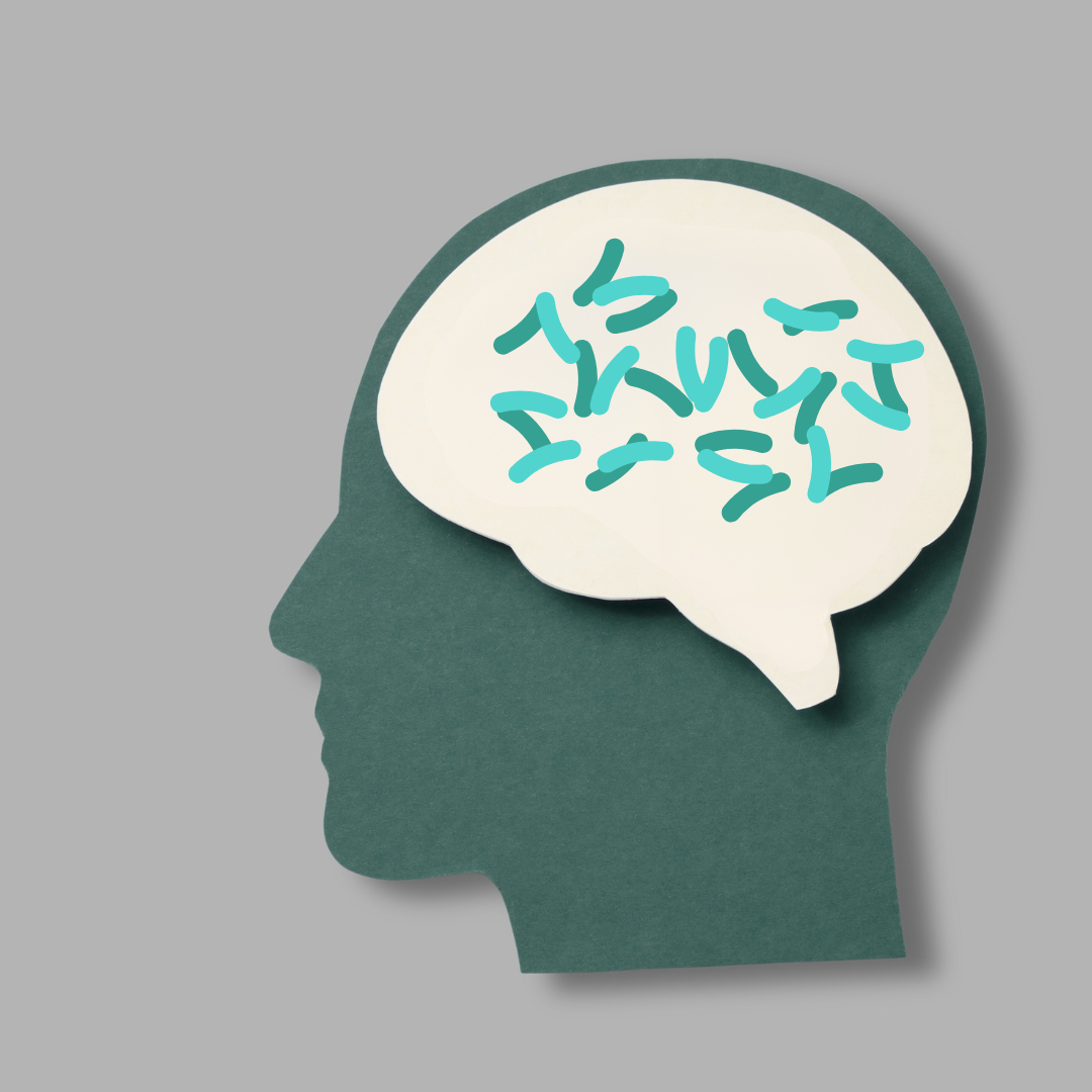 Psychobiotics: The Gut’s Secret Role in Mental Health